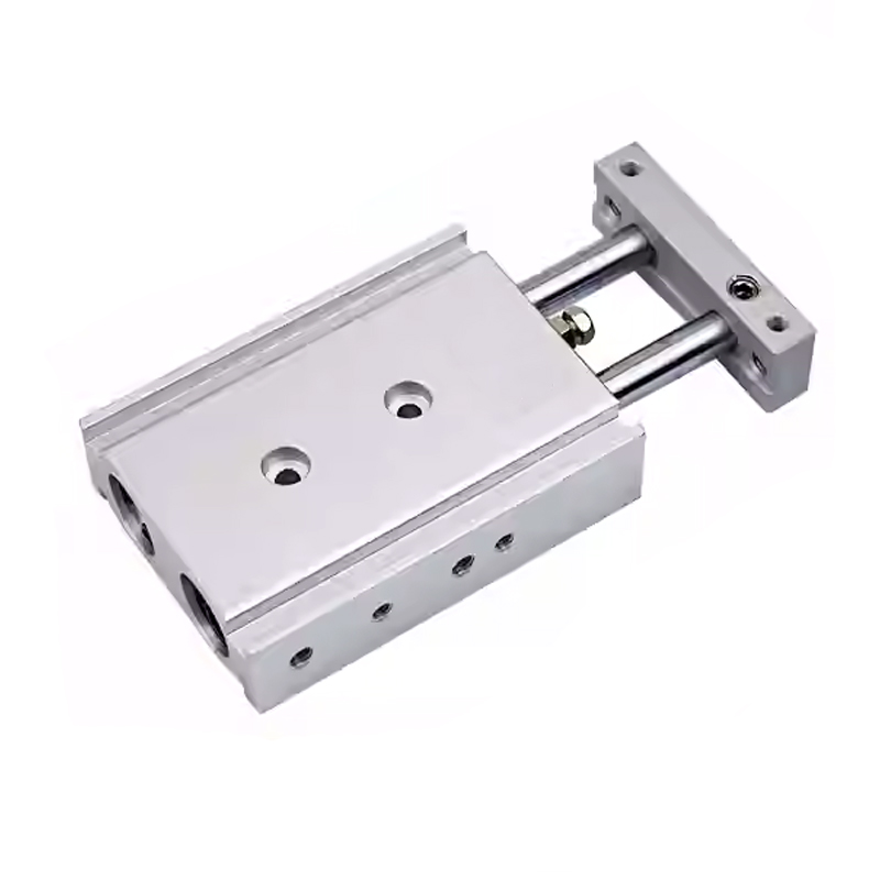 CXS Series Twin Rods Cylinder